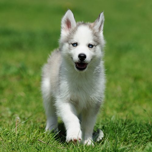 Email Crash Please Read